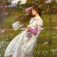 Avatar do jogador Debra Carey